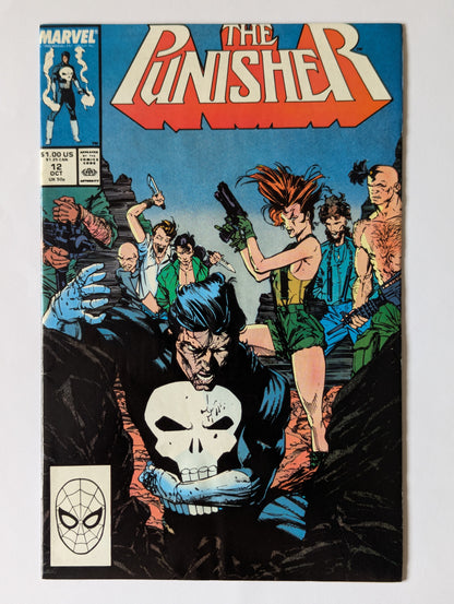 Punisher #12 Marvel Comic Book