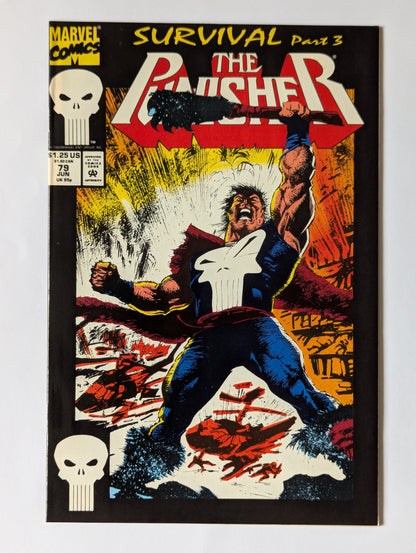 Punisher #79 Marvel Comic Book