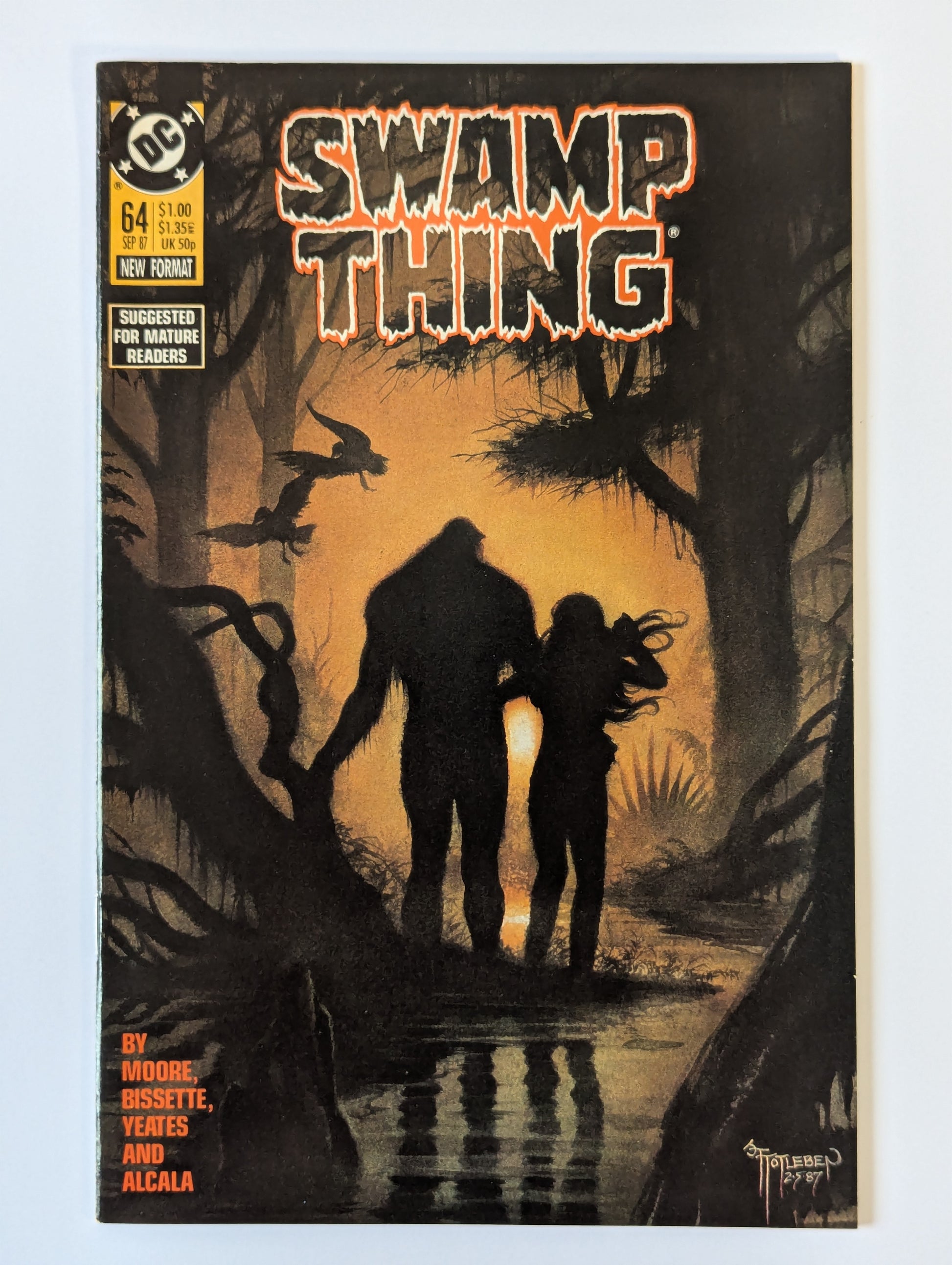 Saga of the Swamp Thing #64 DC Vertigo Comic Book