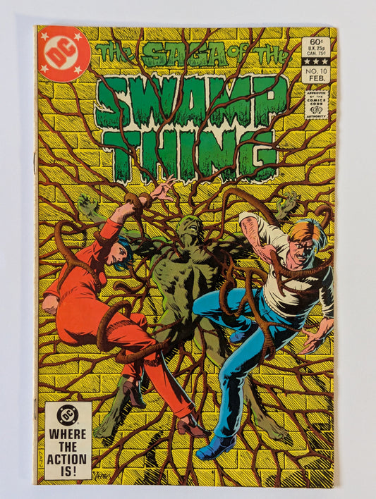 Saga of the Swamp Thing #10 DC Vertigo Comic Book