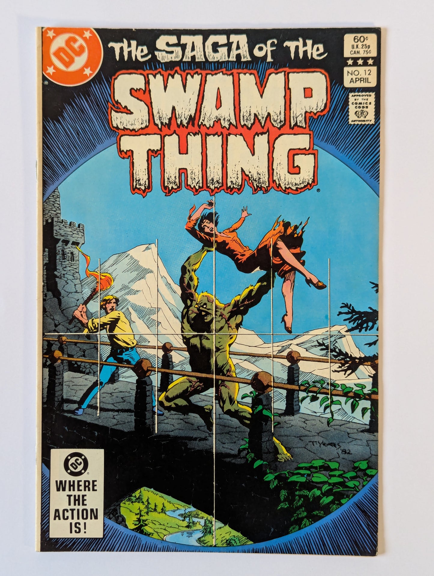 Saga of the Swamp Thing #12 DC Vertigo Comic Book