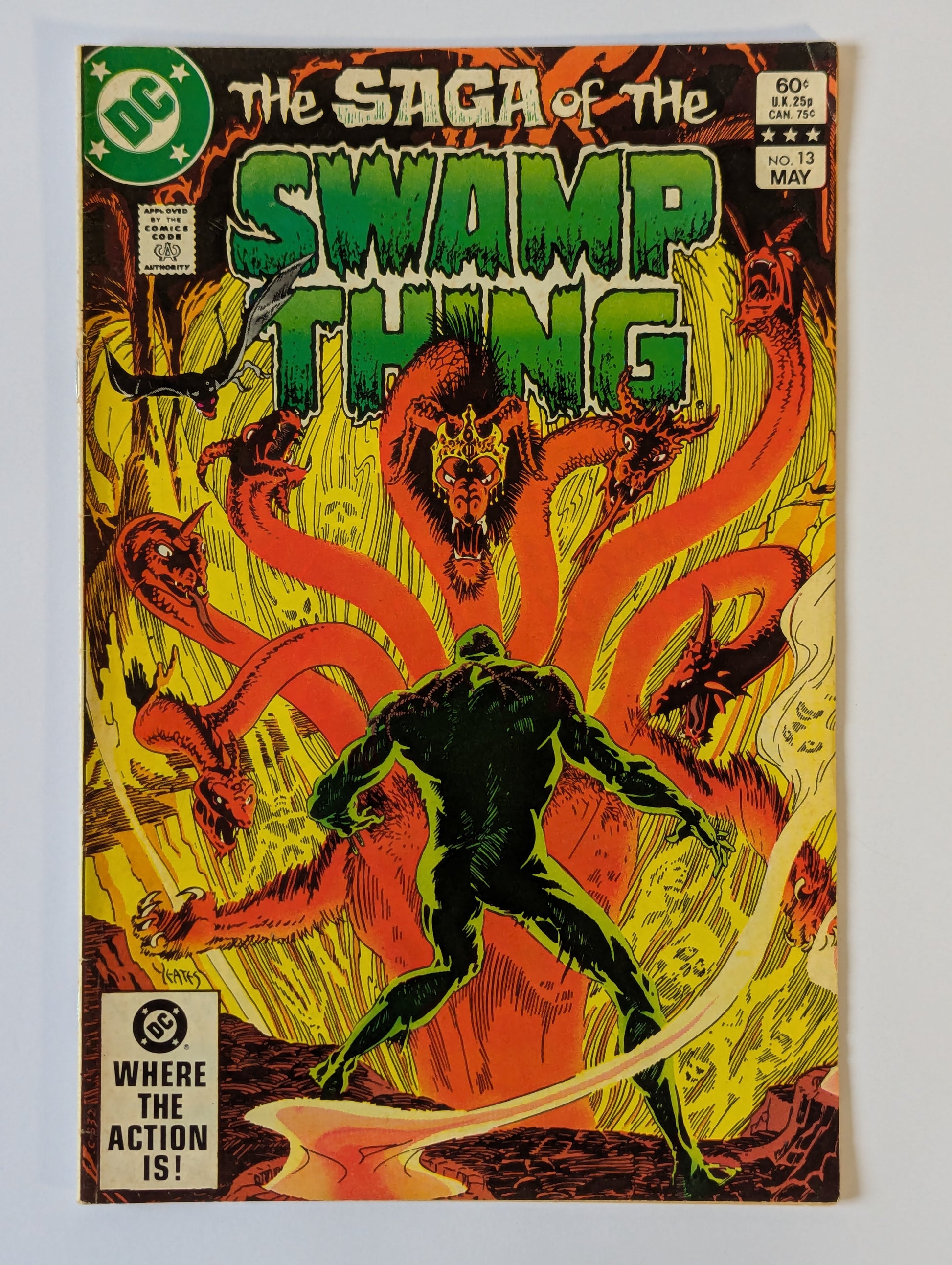 Saga of the Swamp Thing #13 DC Vertigo Comic Book
