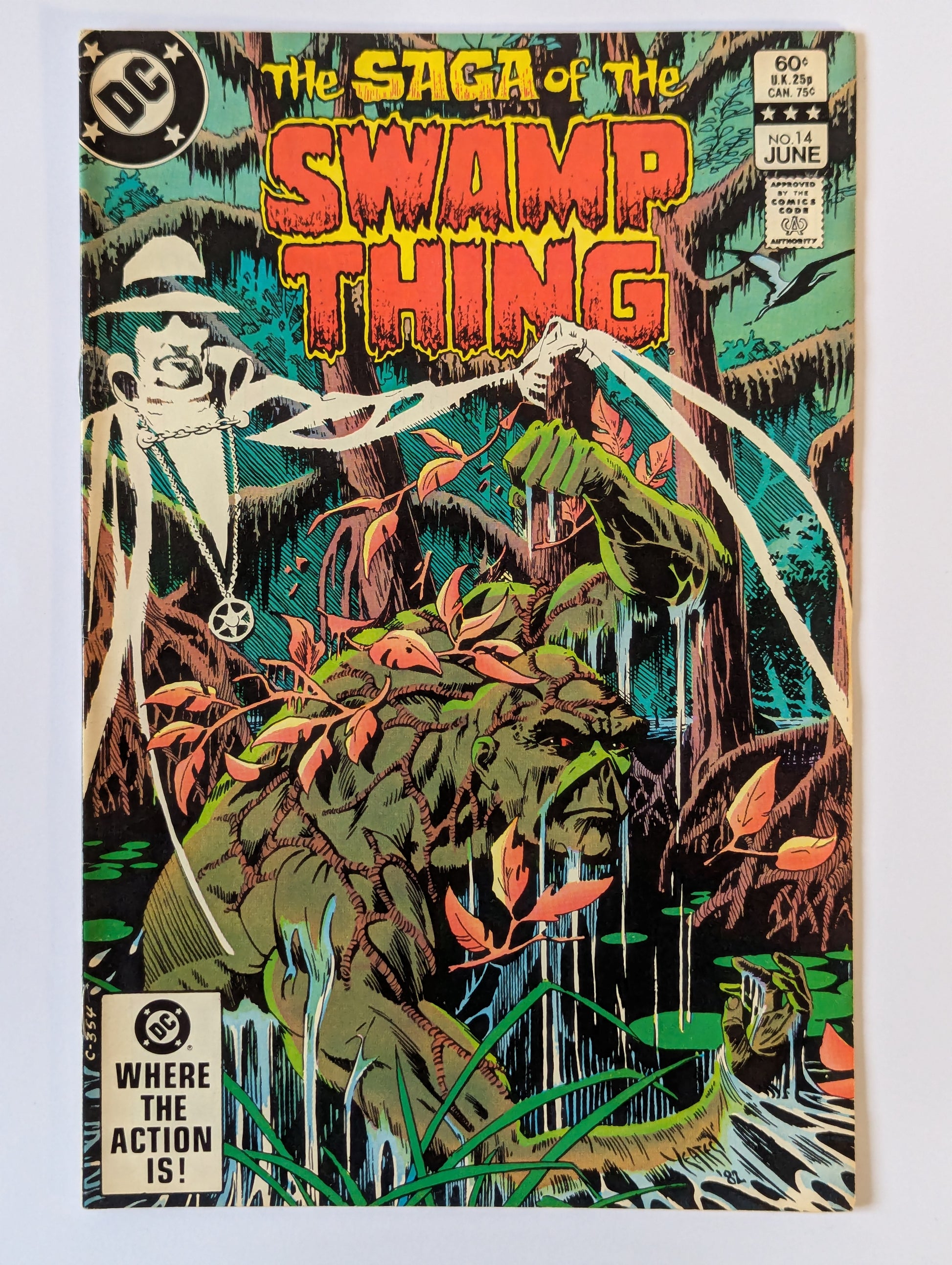 Saga of the Swamp Thing #14 DC Vertigo Comic Book