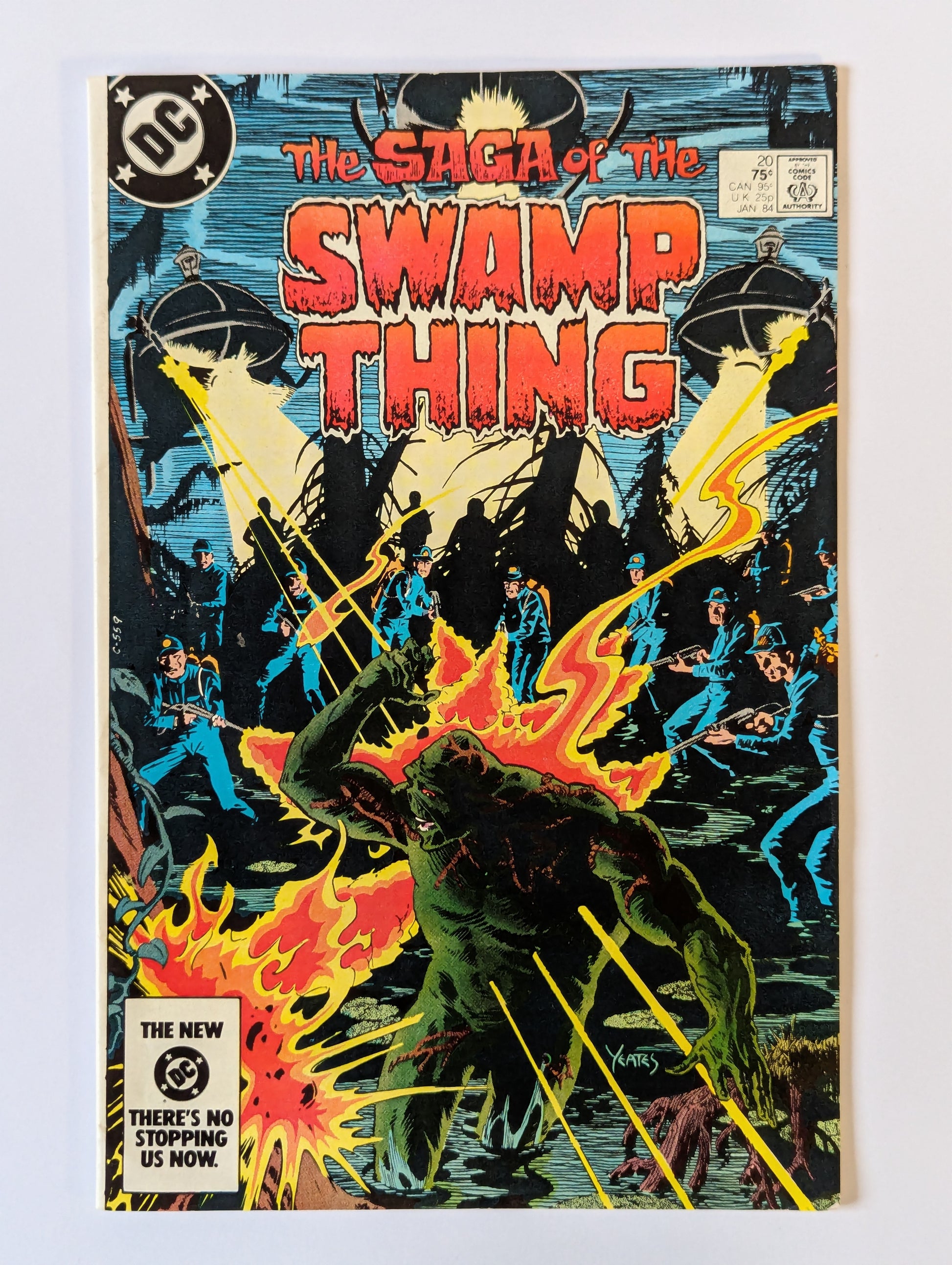 Saga of the Swamp Thing #20 DC Vertigo Comic Book