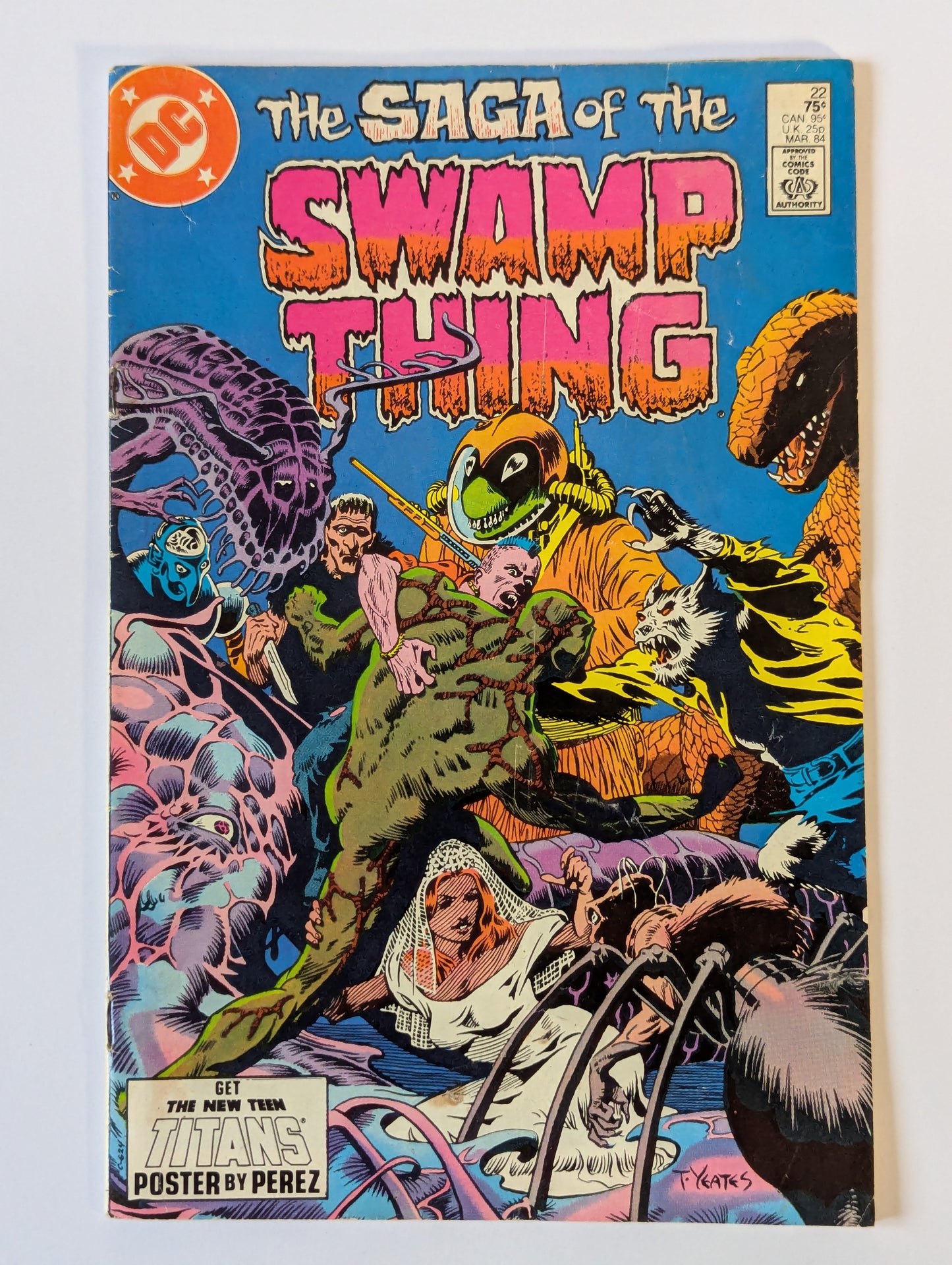 Saga of the Swamp Thing #22 DC Vertigo Comic Book