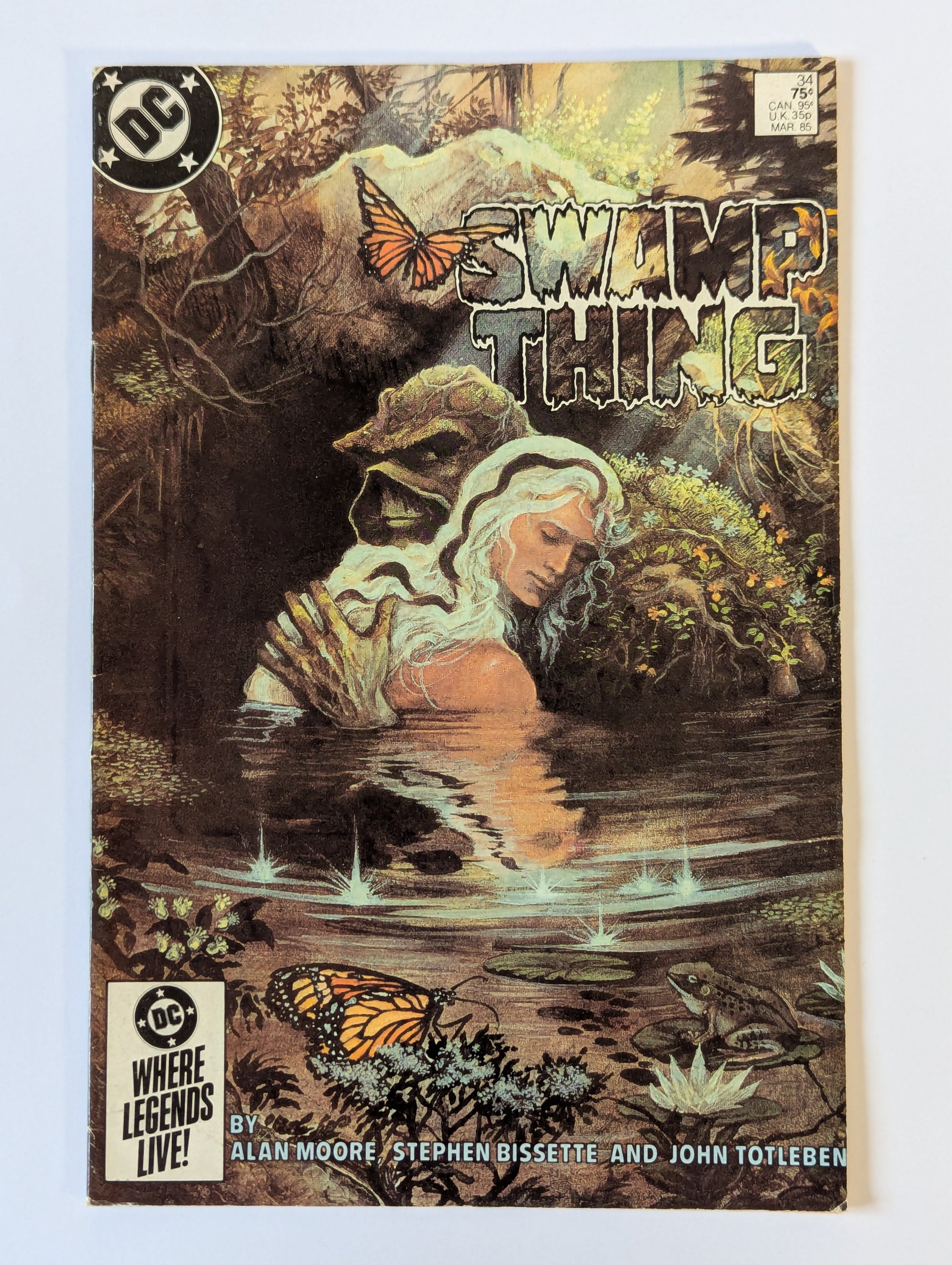 Saga of the Swamp Thing #34 DC Vertigo Comic Book