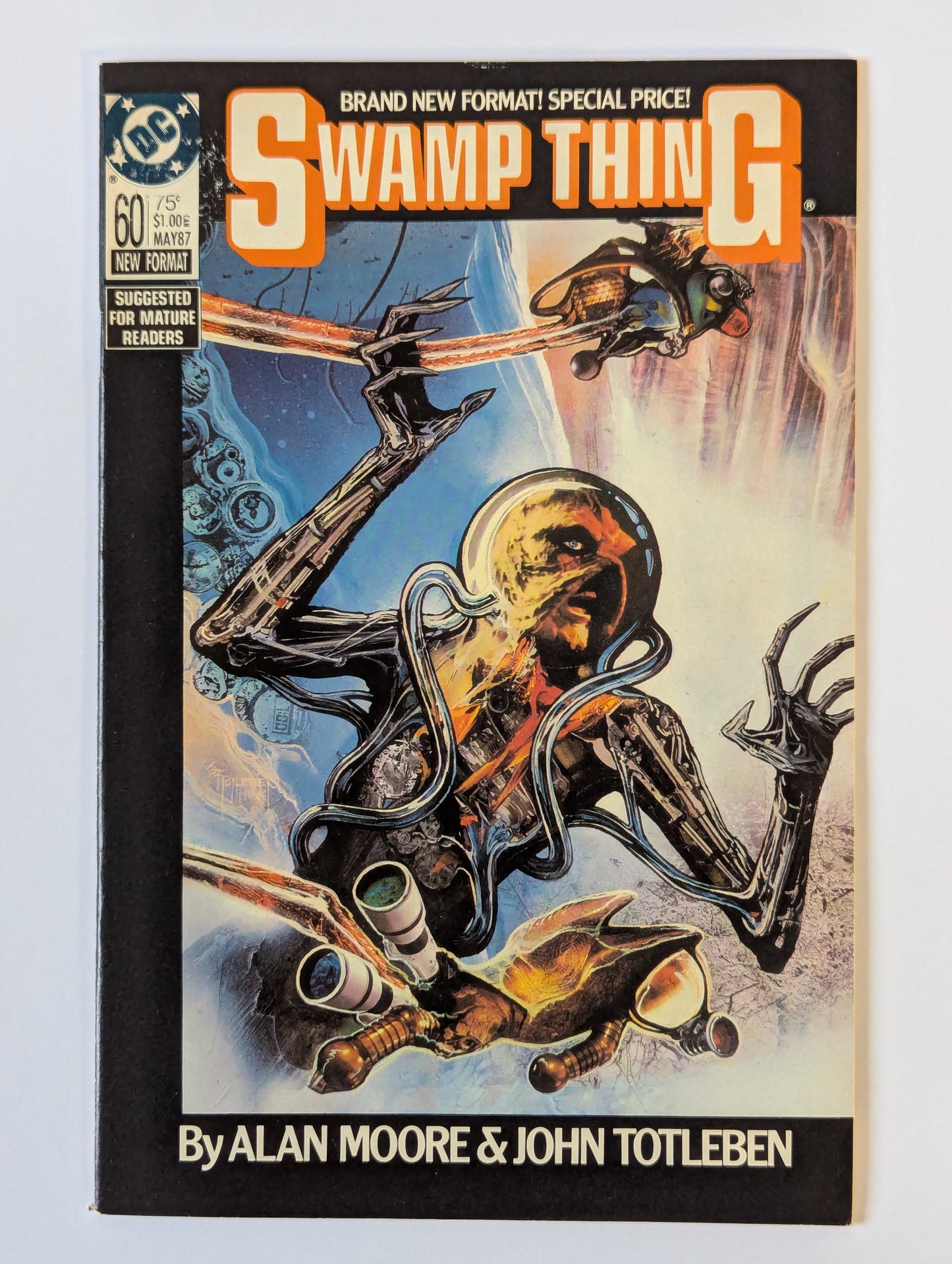 Saga of the Swamp Thing #60 DC Vertigo Comic Book