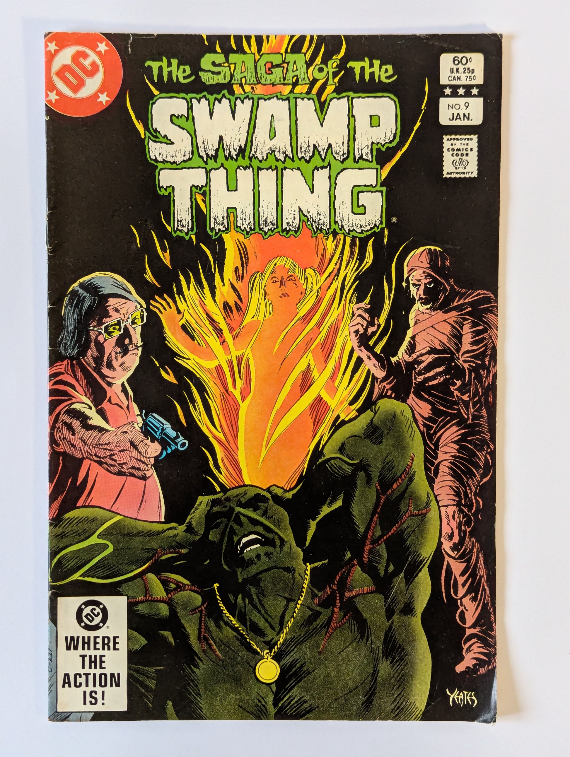 Saga of the Swamp Thing #9 DC Vertigo Comic Book