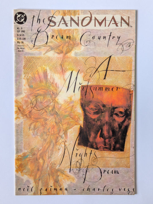 The Sandman #19 DC Vertigo Comic Book
