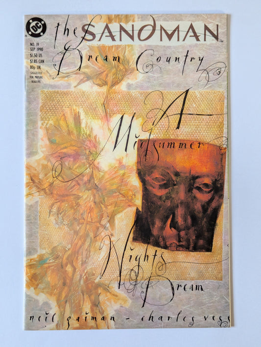 Sandman #19 DC Vertigo Comic Book