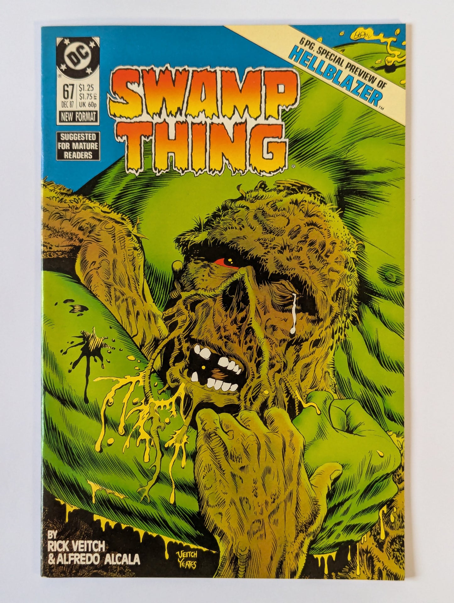 Saga of the Swamp Thing #67 DC Vertigo Comic Book