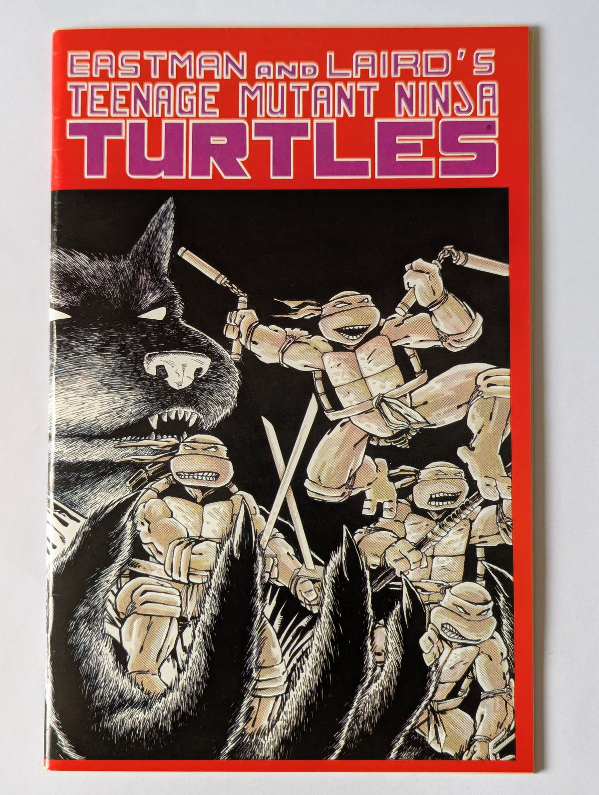 Teenage Mutant Ninja Turtles #1 Mirage Comic Book
