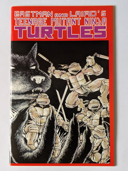 Teenage Mutant Ninja Turtles #1 Mirage Comic Book