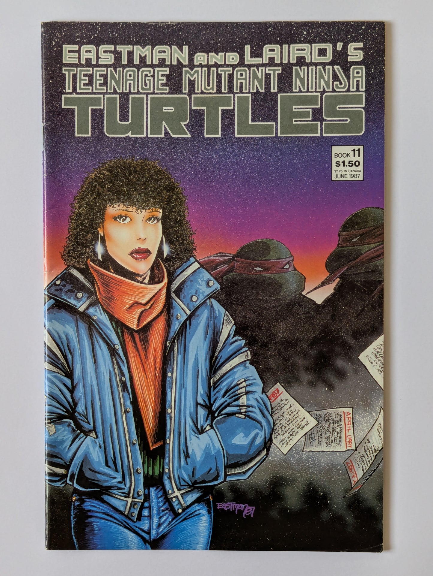 Teenage Mutant Ninja Turtles #11 Mirage Comic Book