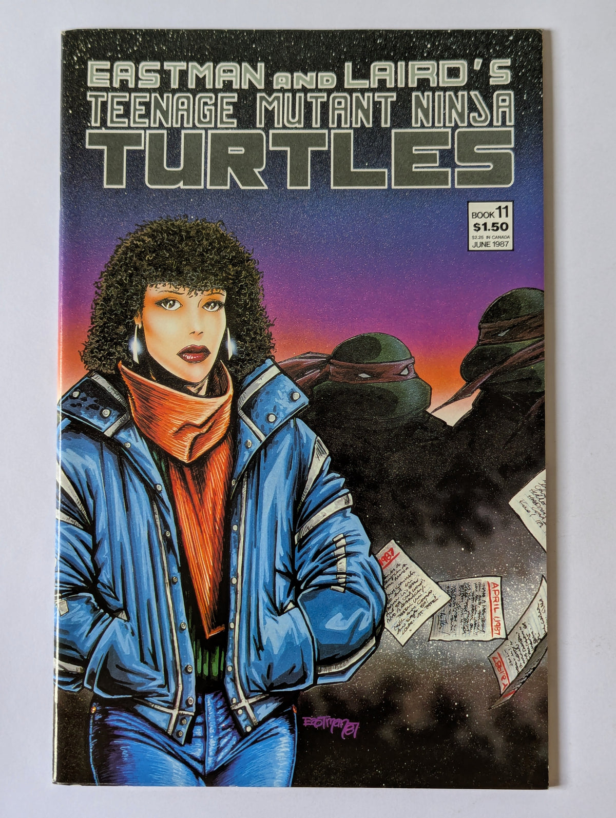 Teenage Mutant Ninja Turtles #11 Mirage Comic Book