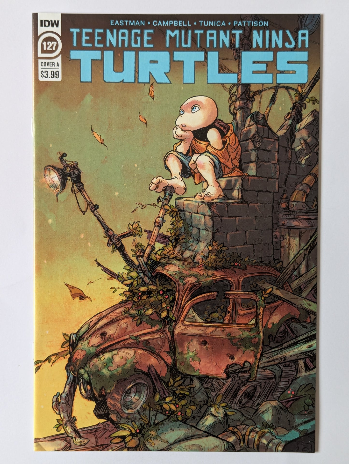 Teenage Mutant Ninja Turtles #127 IDW Comic Book