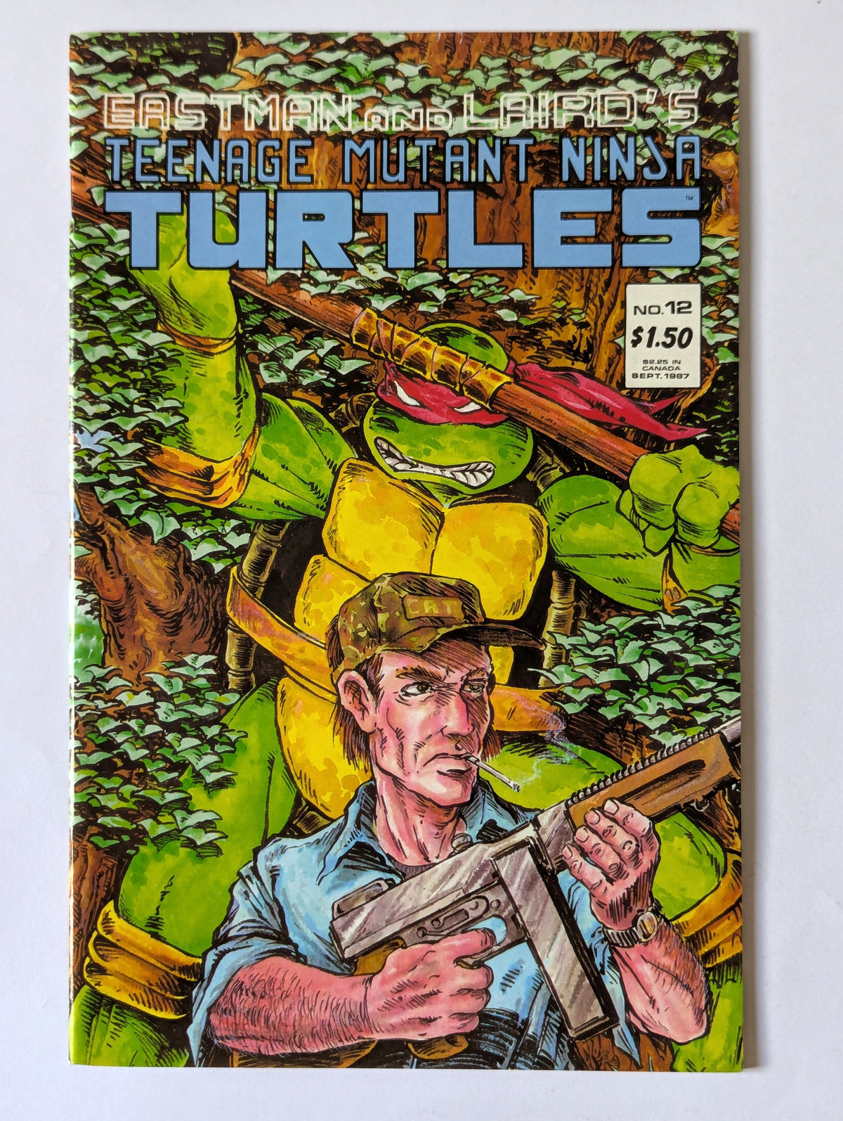 Teenage Mutant Ninja Turtles #12 Mirage Comic Book