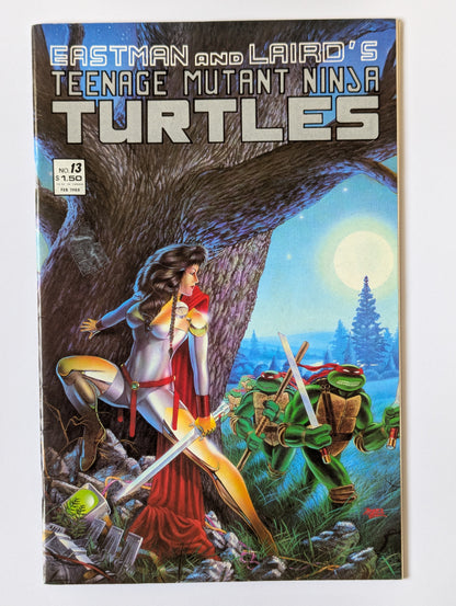 Teenage Mutant Ninja Turtles #13 Mirage Comic Book
