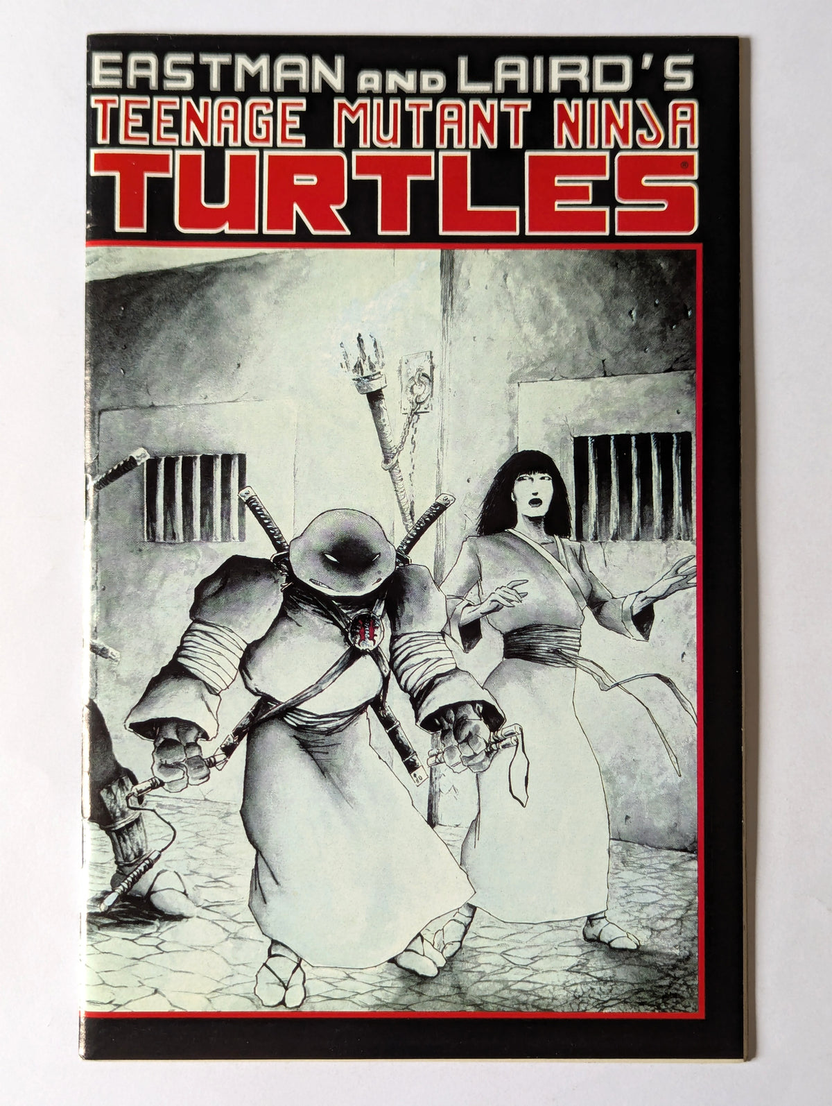Teenage Mutant Ninja Turtles #17 Mirage Comic Book