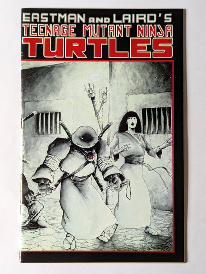Teenage Mutant Ninja Turtles #17 Mirage Comic Book