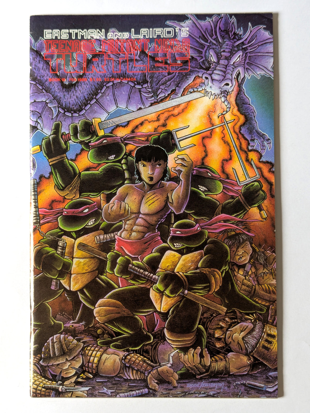 Teenage Mutant Ninja Turtles #18 Mirage Comic Book