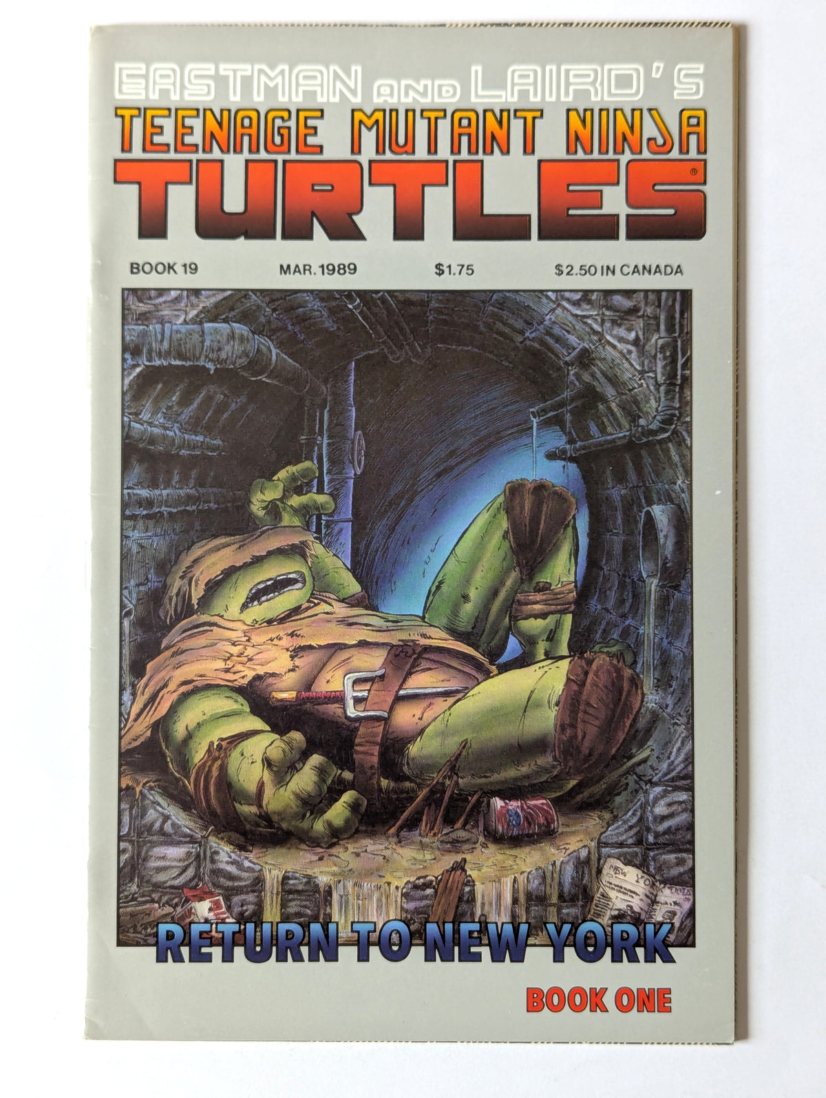 Teenage Mutant Ninja Turtles #19 Mirage Comic Book