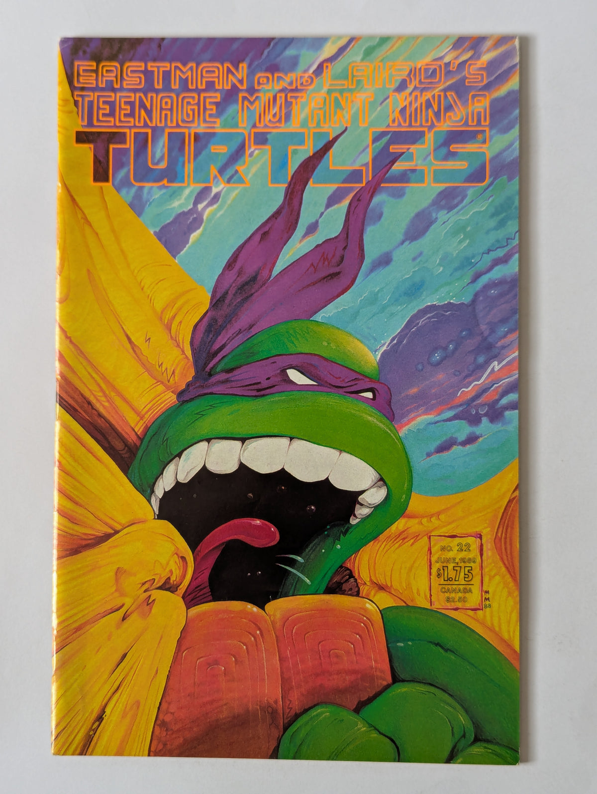 Teenage Mutant Ninja Turtles #22 Mirage Comic Book
