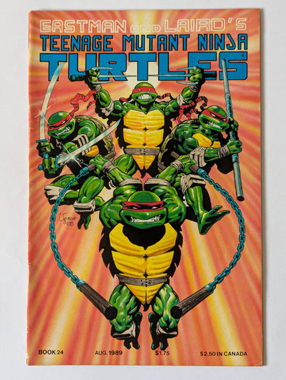 Teenage Mutant Ninja Turtles #24 Mirage Comic Book