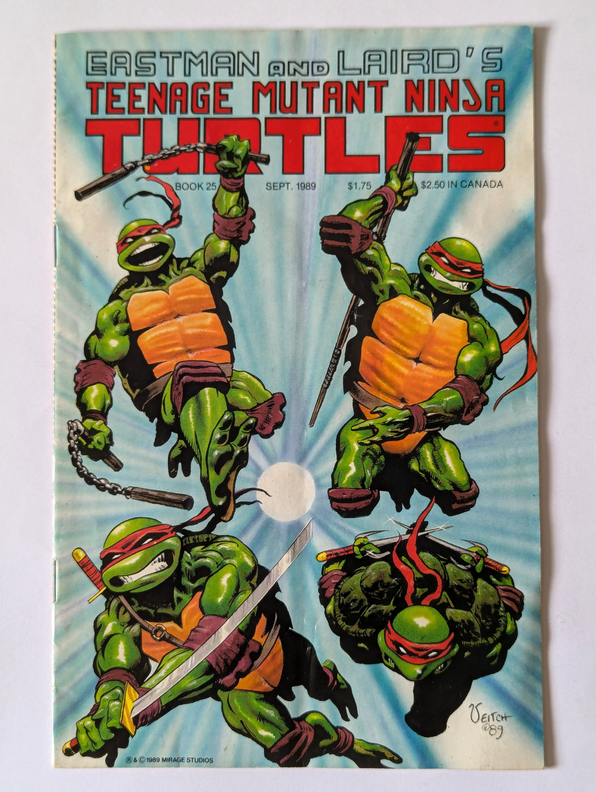 Teenage Mutant Ninja Turtles #25 Mirage Comic Book