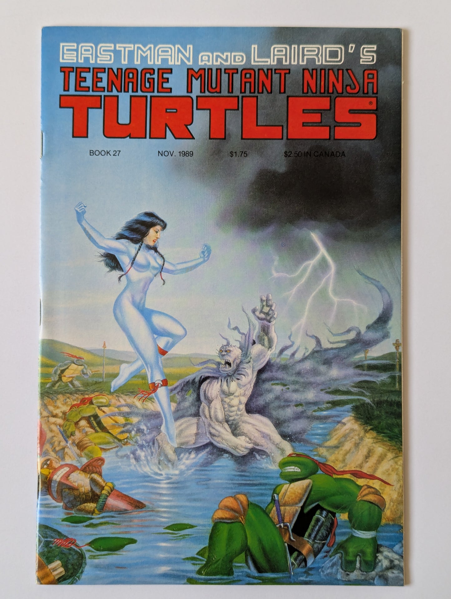 Teenage Mutant Ninja Turtles #27 Mirage Comic Book