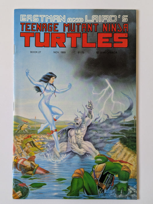 Teenage Mutant Ninja Turtles #27 Mirage Comic Book