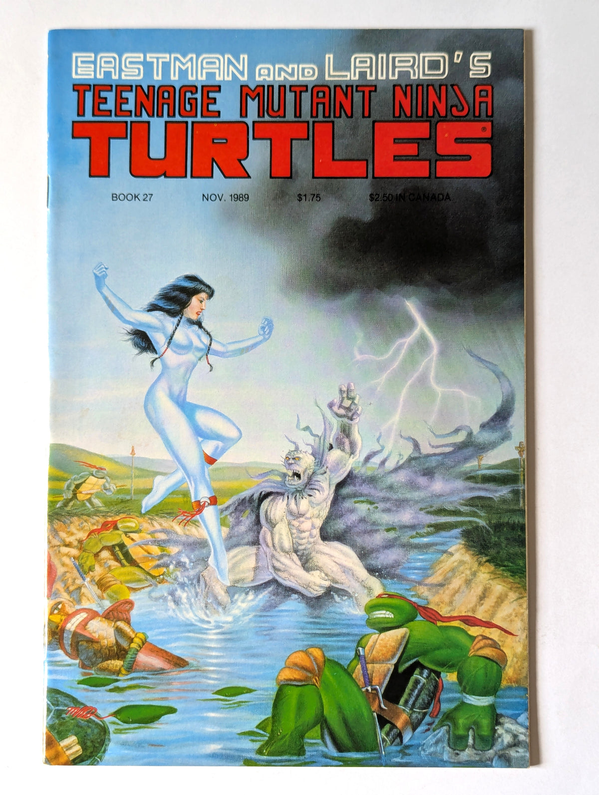 Teenage Mutant Ninja Turtles #27 Mirage Comic Book