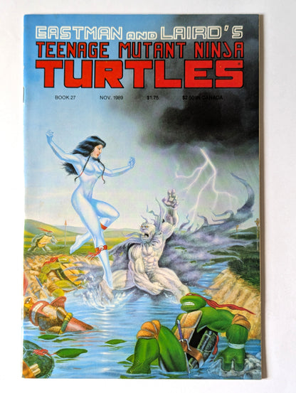 Teenage Mutant Ninja Turtles #27 Mirage Comic Book