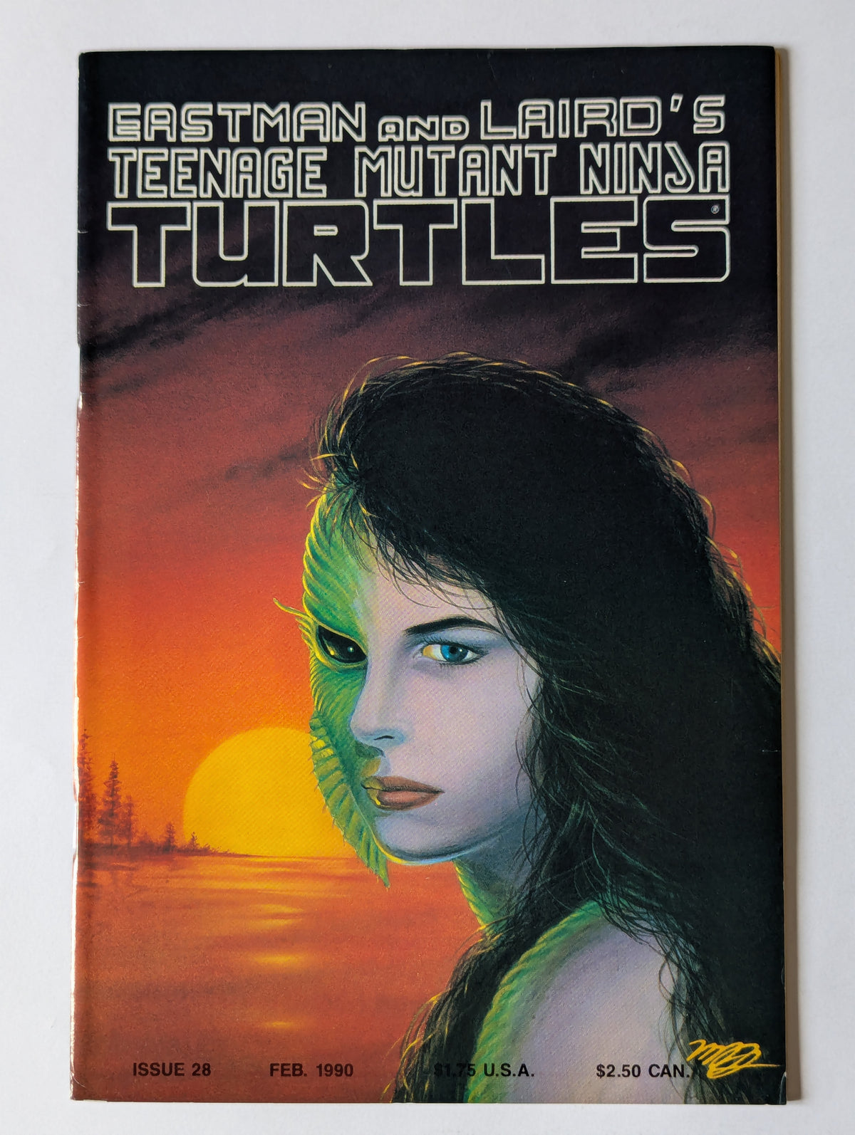 Teenage Mutant Ninja Turtles #28 Mirage Comic Book