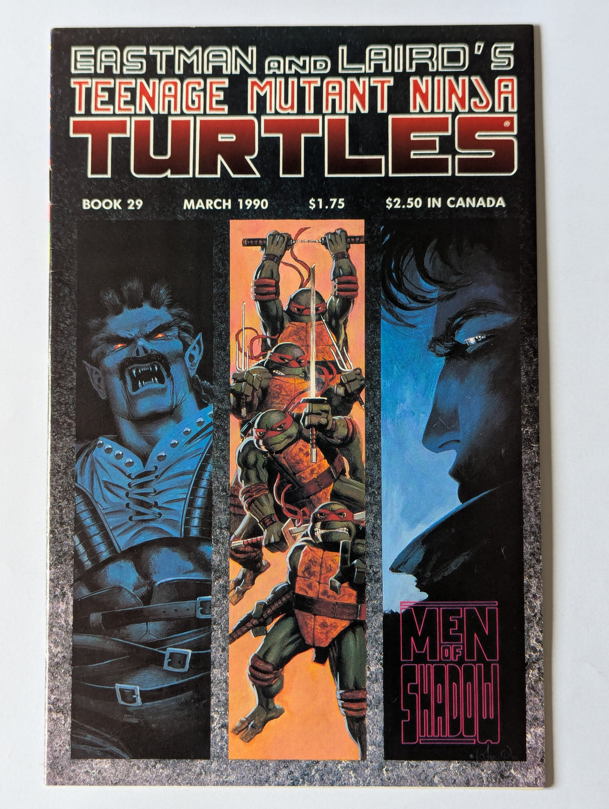 Teenage Mutant Ninja Turtles #29 Mirage Comic Book