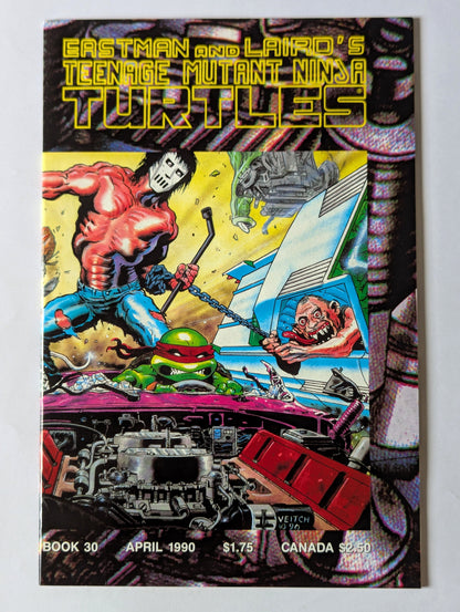 Teenage Mutant Ninja Turtles #30 Mirage Comic Book