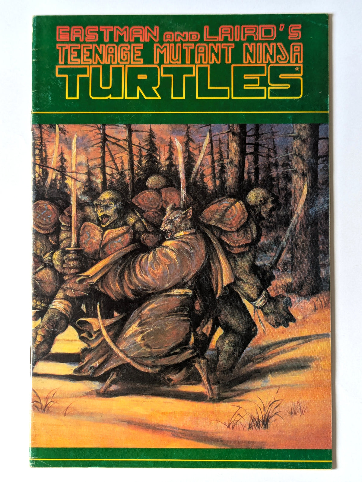 Teenage Mutant Ninja Turtles #31 Mirage Comic Book