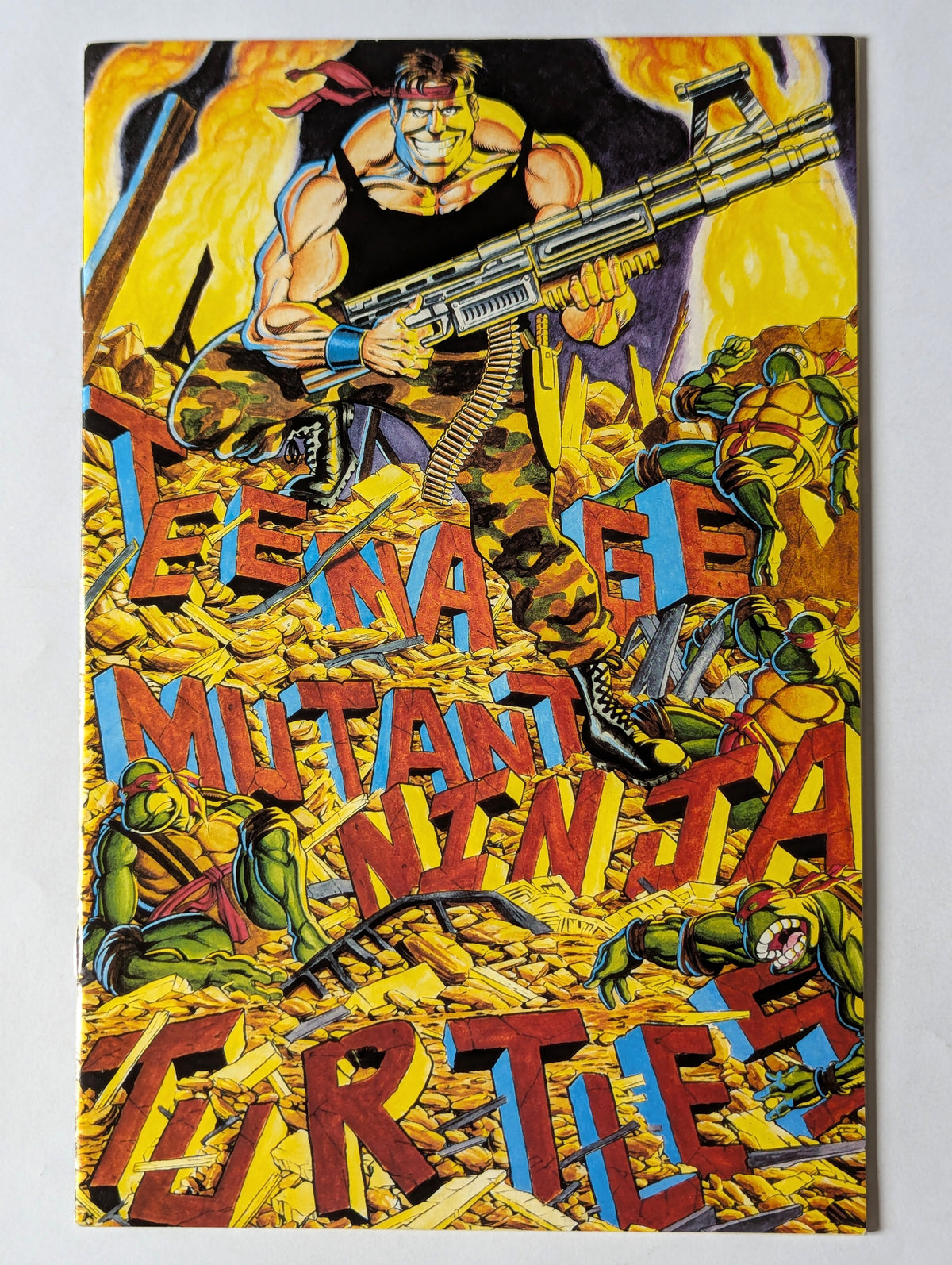 Teenage Mutant Ninja Turtles #34 Mirage Comic Book