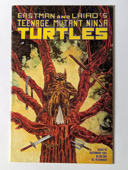 Teenage Mutant Ninja Turtles #42 Mirage Comic Book
