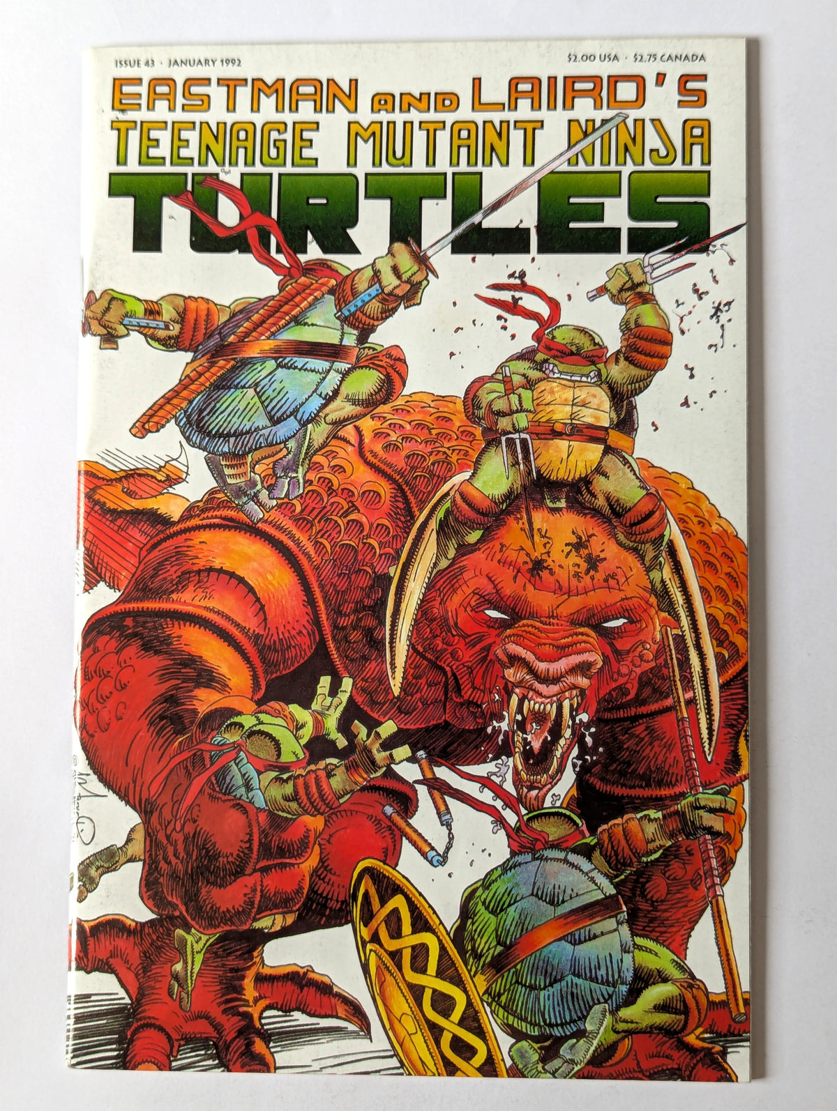 Teenage Mutant Ninja Turtles #43 Mirage Comic Book