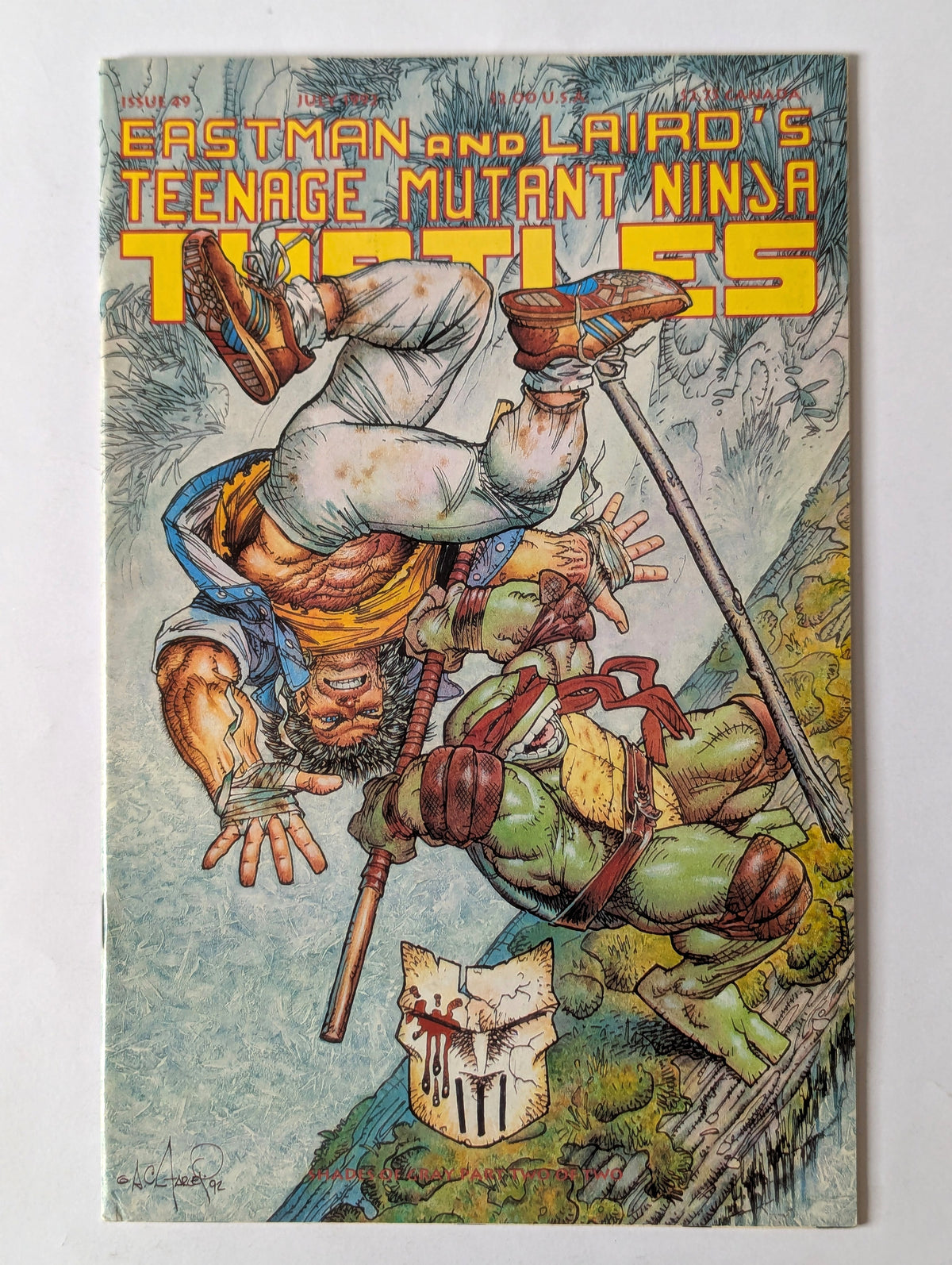 Teenage Mutant Ninja Turtles #49 Mirage Comic Book