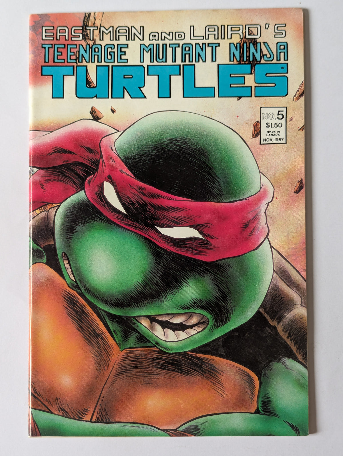 Teenage Mutant Ninja Turtles #5 Mirage Comic Book