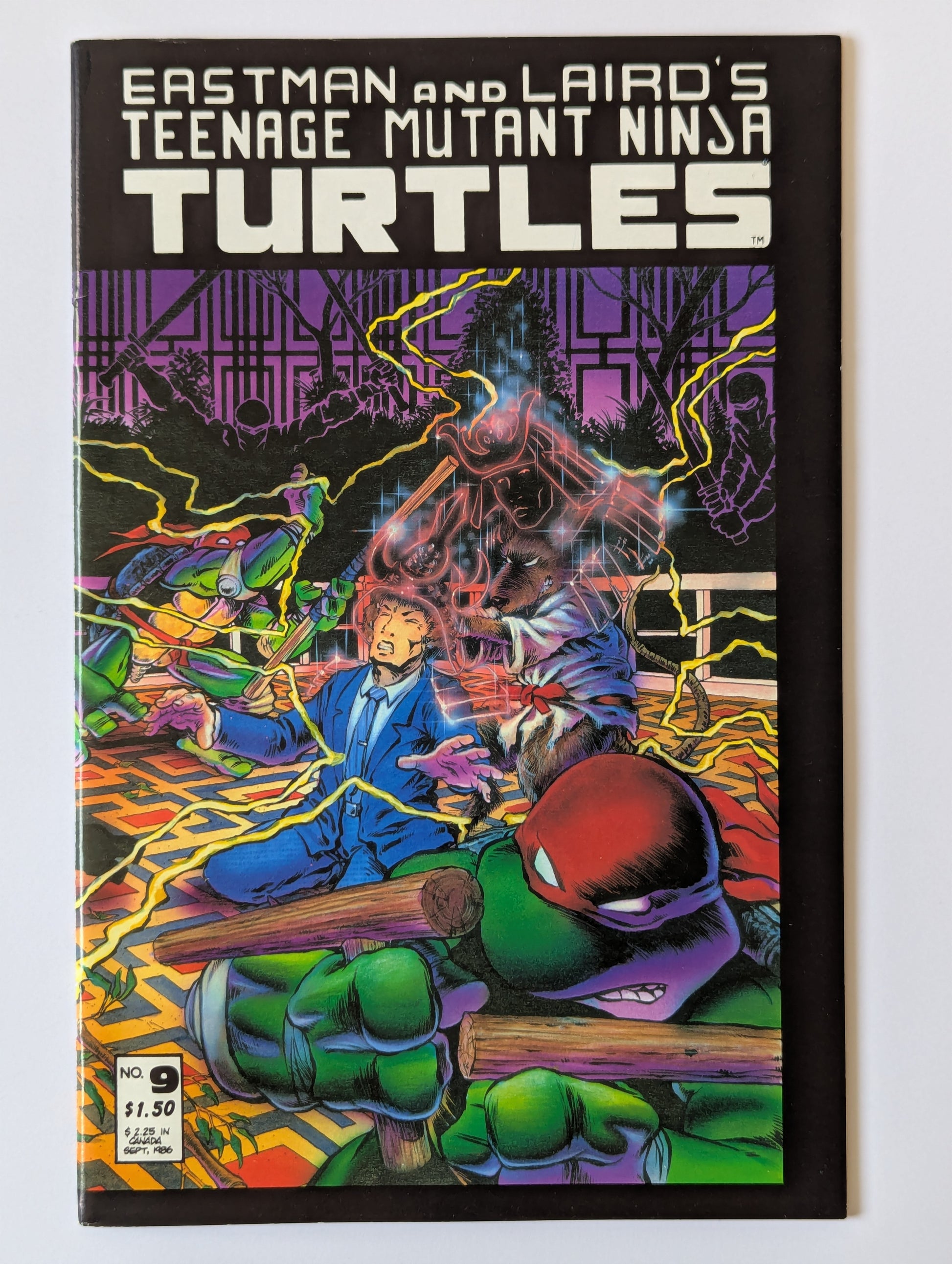 Teenage Mutant Ninja Turtles #9 Mirage Comic Book