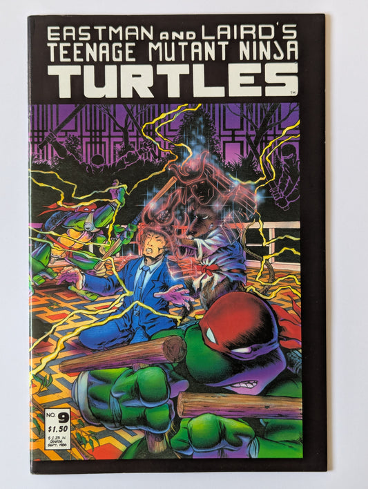 Teenage Mutant Ninja Turtles #9 Mirage Comic Book