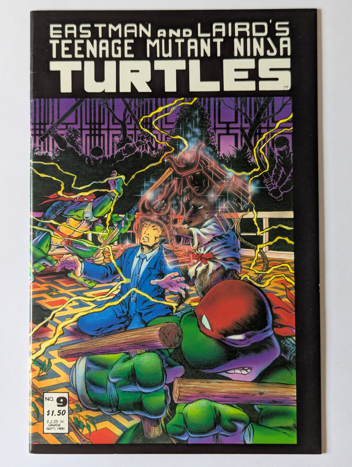 Teenage Mutant Ninja Turtles #9 Mirage Comic Book