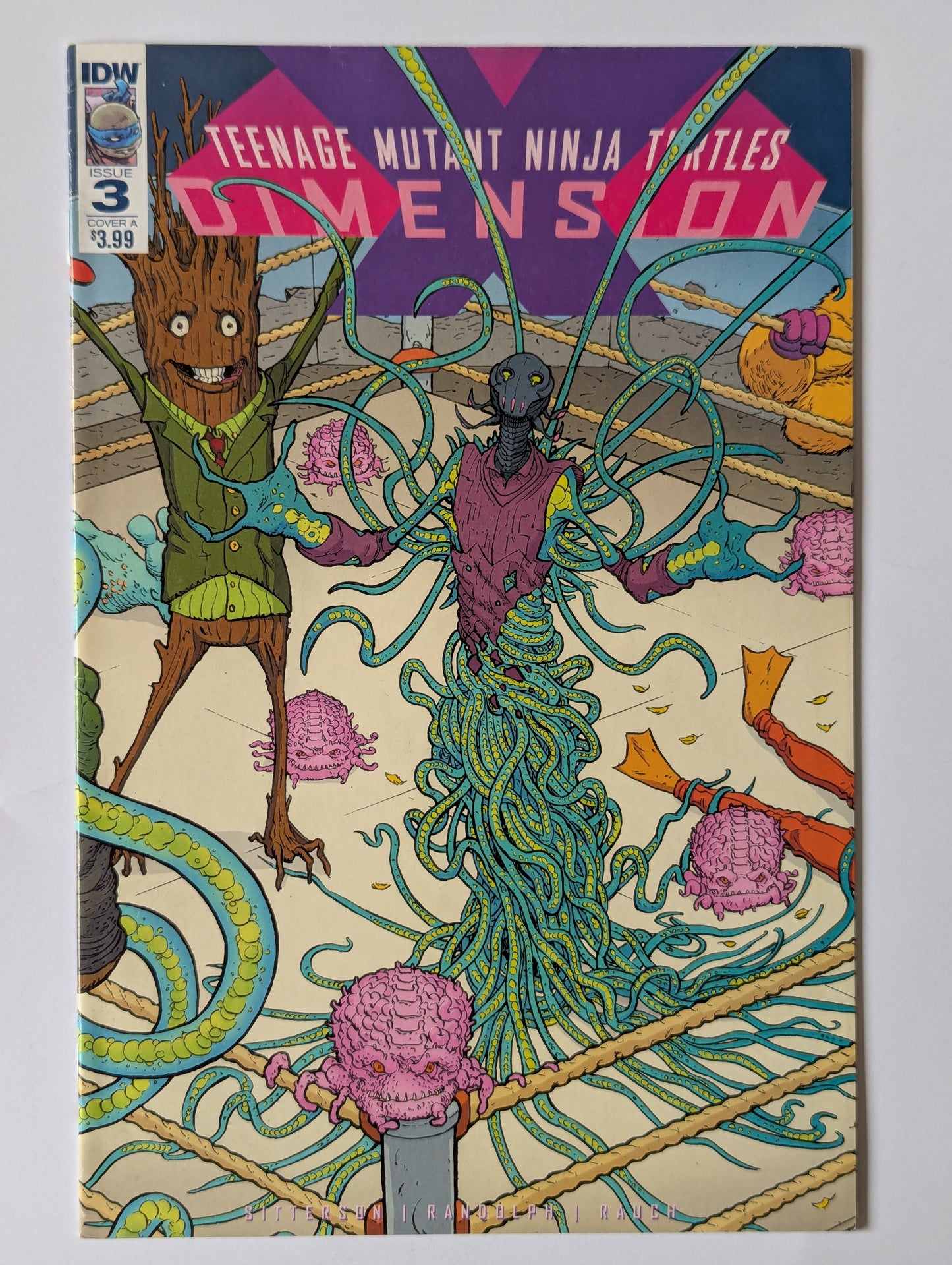 Teenage Mutant Ninja Turtles Dimension X #3 IDW Comic Book
