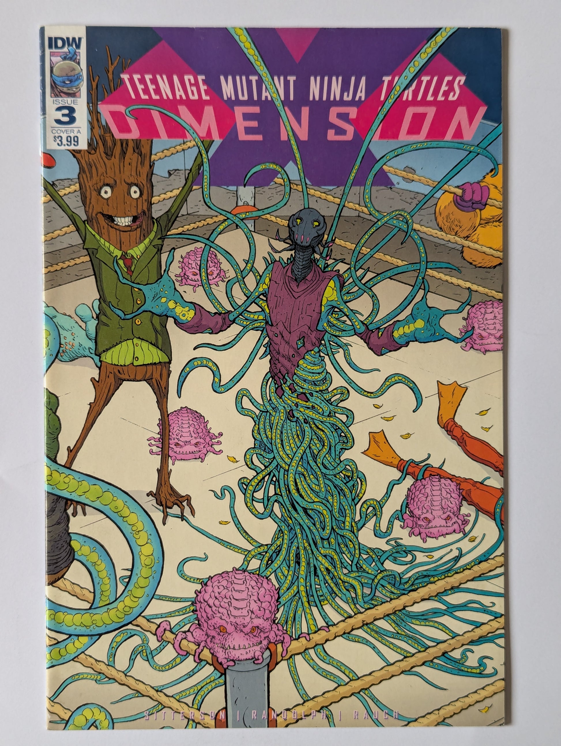 Teenage Mutant Ninja Turtles Dimension X #3 IDW Comic Book