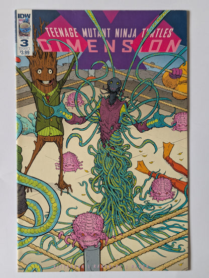 Teenage Mutant Ninja Turtles Dimension X #3 IDW Comic Book