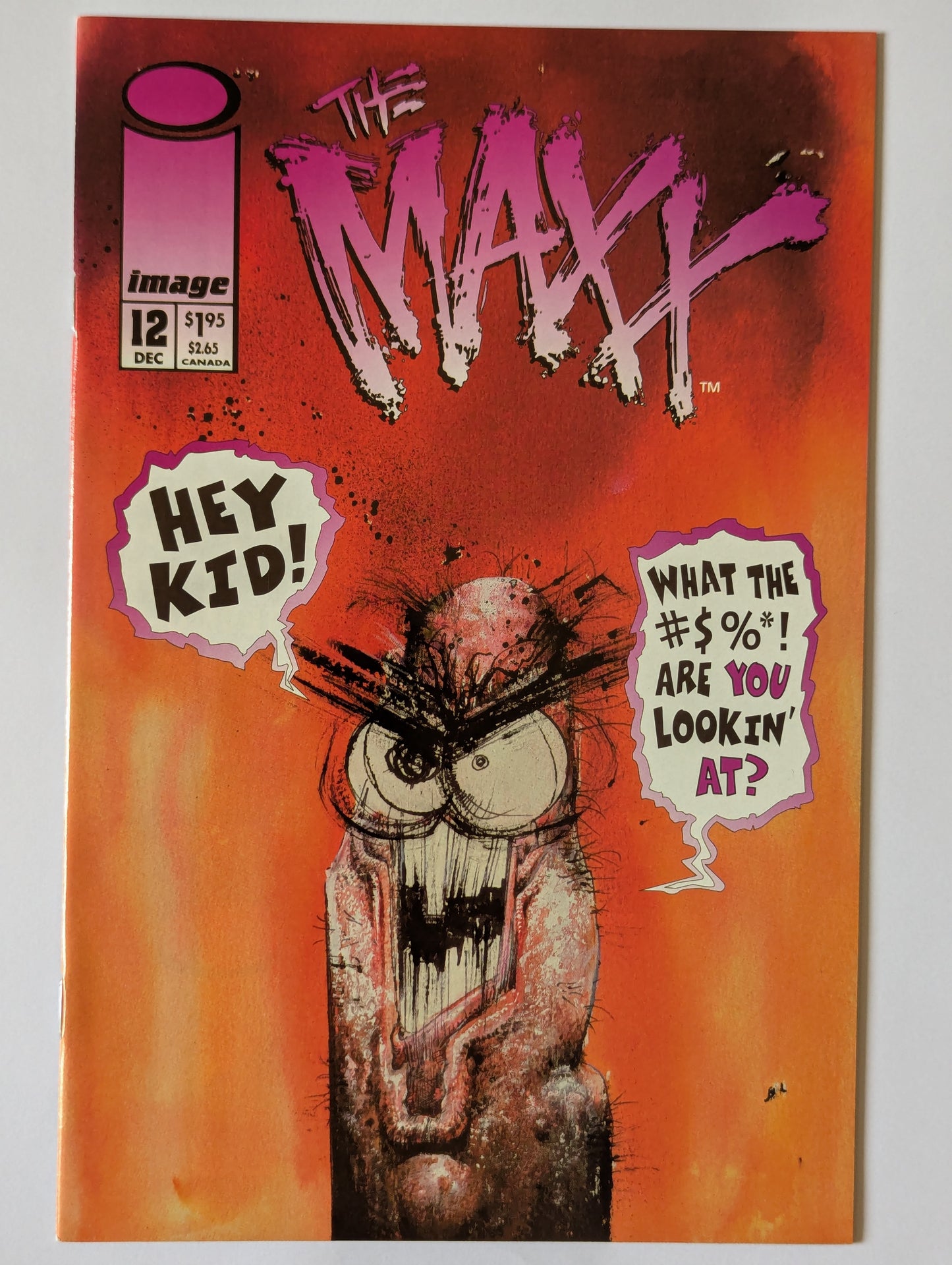 The Maxx #12 Image Comic Book