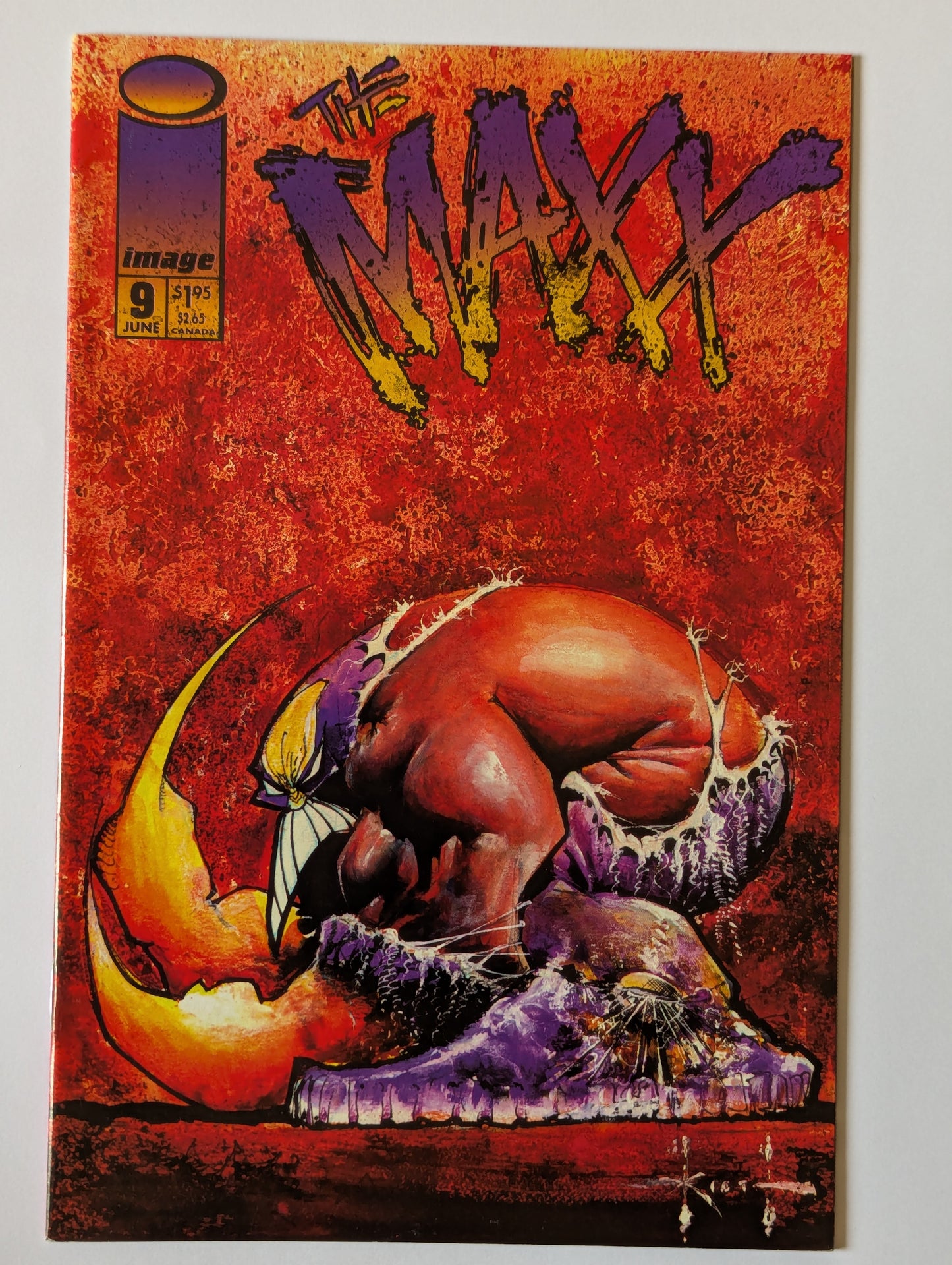 The Maxx #9 Image Comic Book